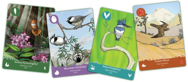 Birds of a Feather : Western North America