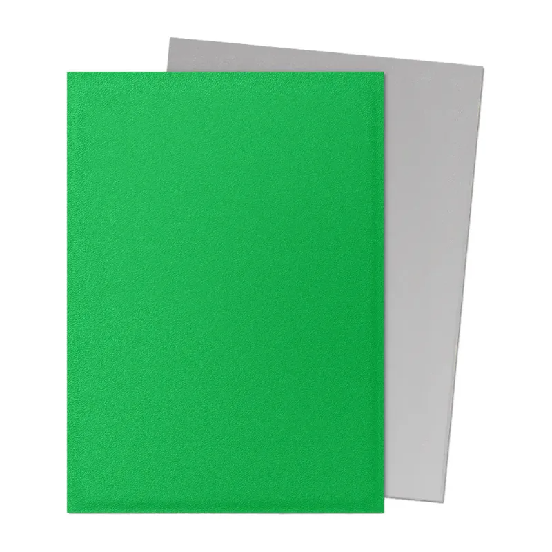 Dragon Shield Sleeves Standard: Matte Dual Apple Green & Silver (100)