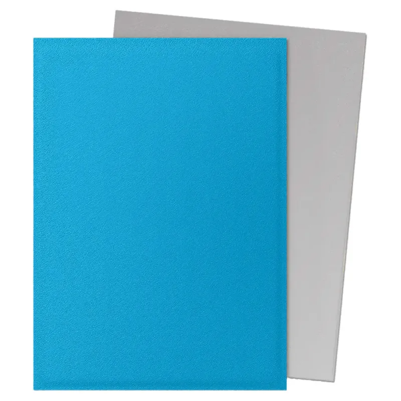 Dragon Shield Sleeves Standard: Matte Dual Sky Blue & Silver (100)