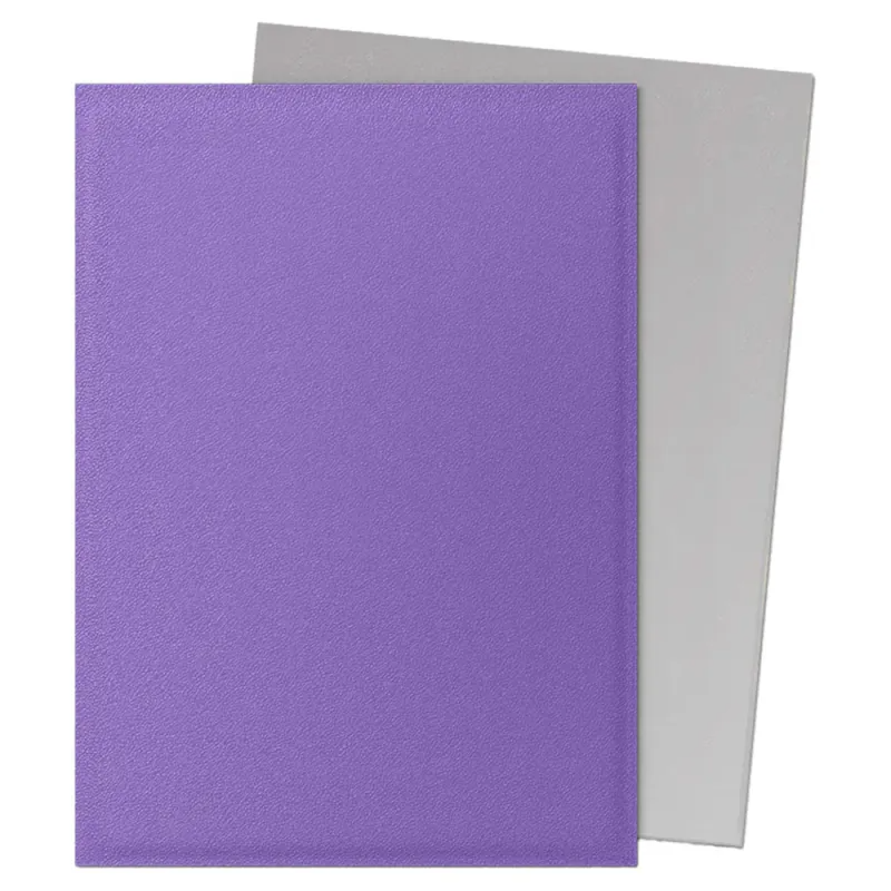 Dragon Shield Sleeves Standard: Matte Dual Nebula & Silver (100)