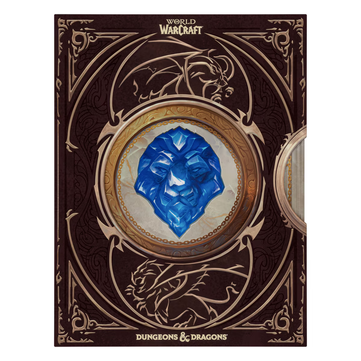 Dungeons & Dragons - World of Warcraft Collector's Edition