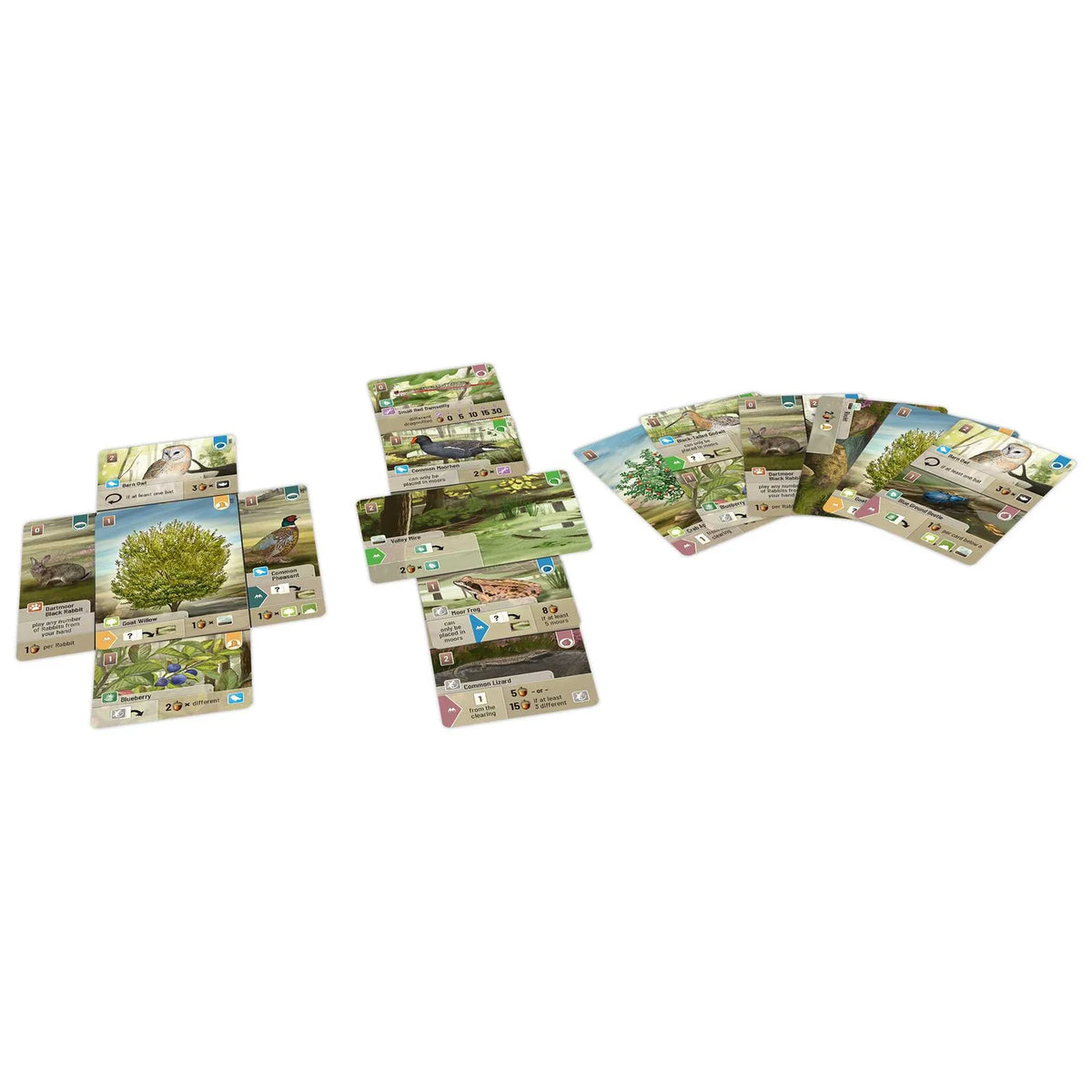 Forest Shuffle: Dartmoor