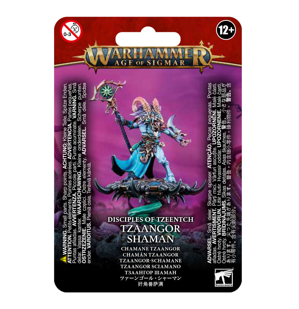 Warhammer Age Of Sigmar: TZEENTCH ARCANITES TZAANGOR SHAMAN