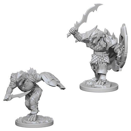 D&amp;D Nolzur&#39;s Marvelous Miniatures: Dragonborn Male Fighter